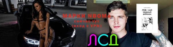 трава Новокубанск